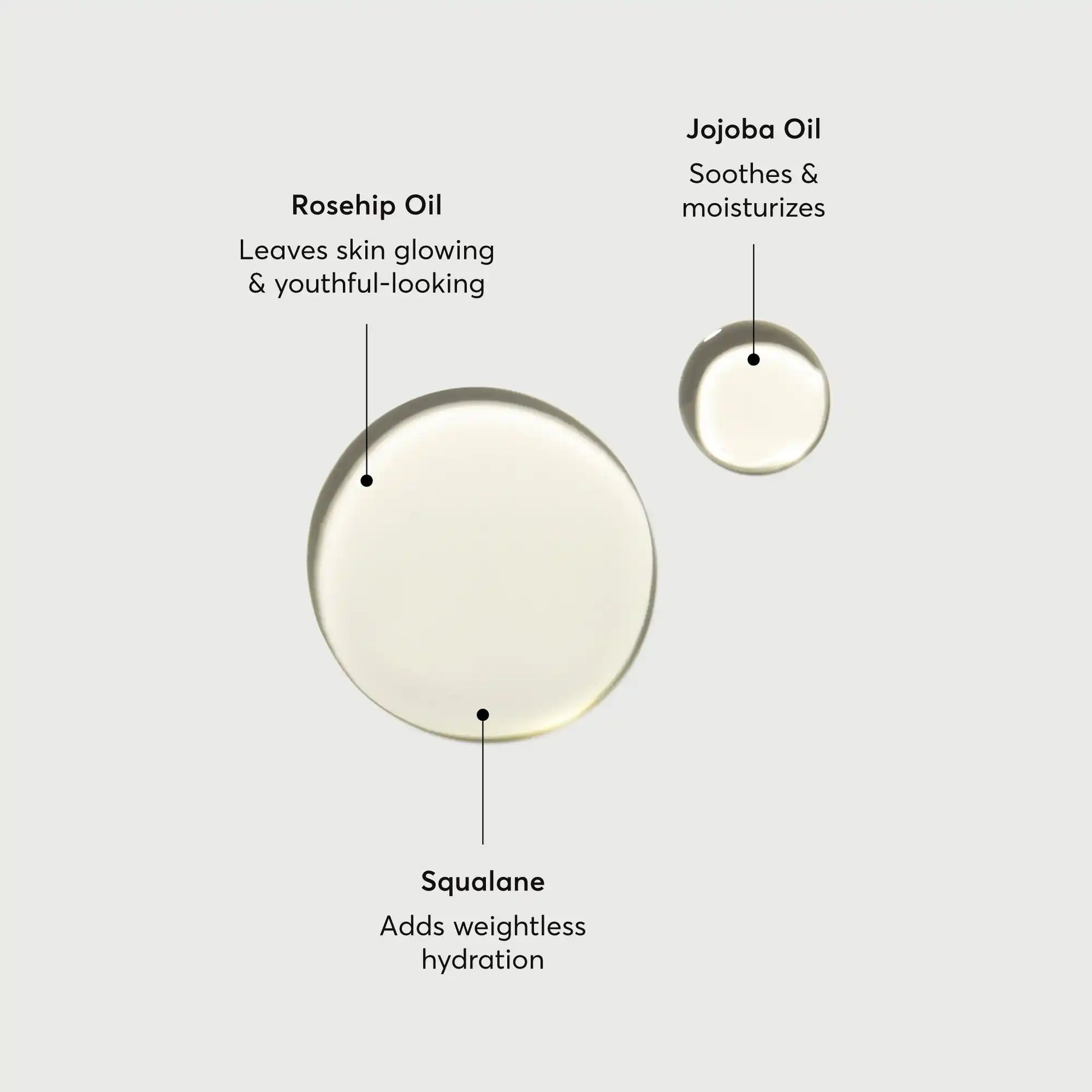 the-glow-getter-body-oil-g3 NATR-10115-Alt-Images-The-Glow-Getter-Body-Oil-01.webp